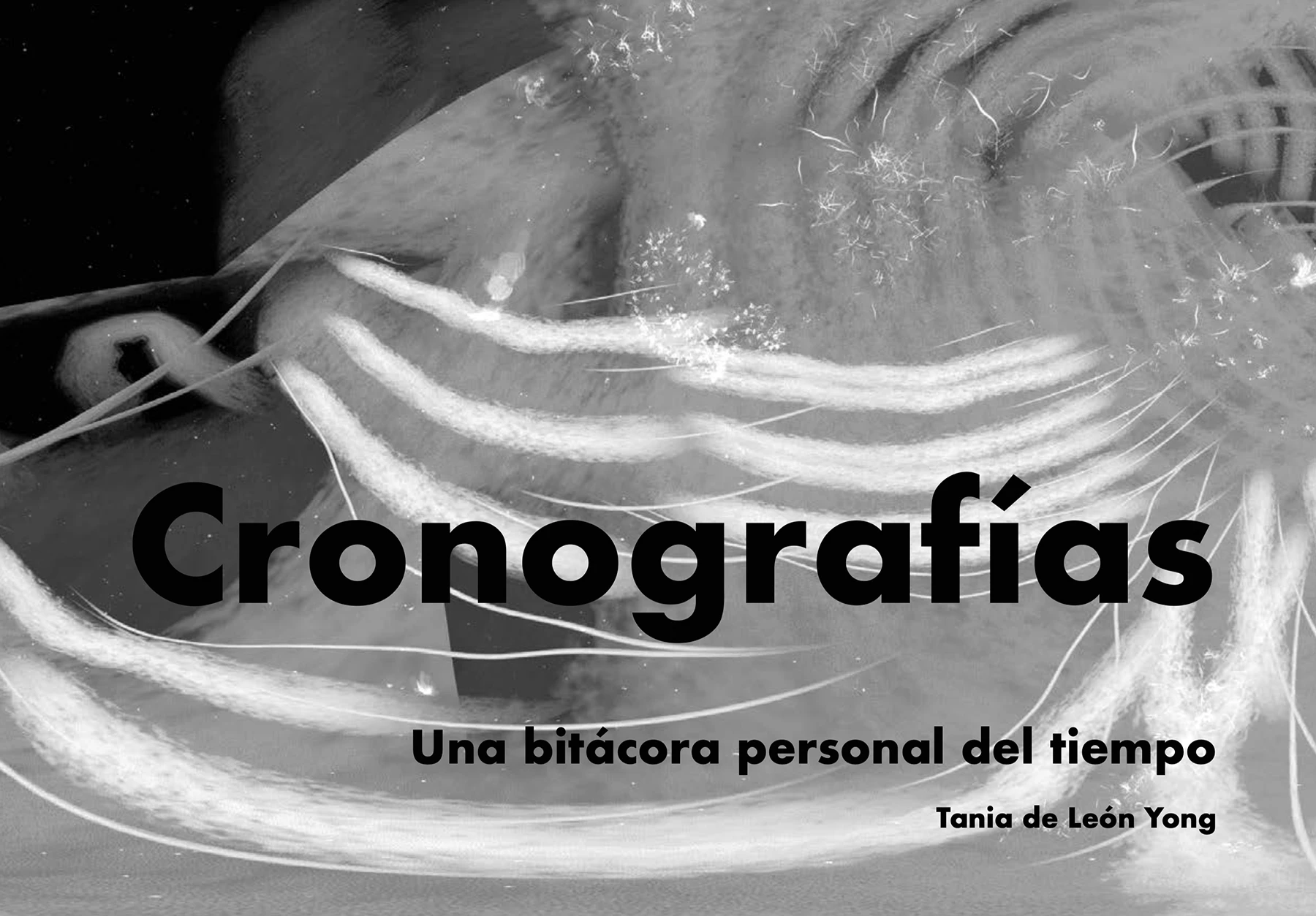Cronografías. Una bitácora personal del tiempo